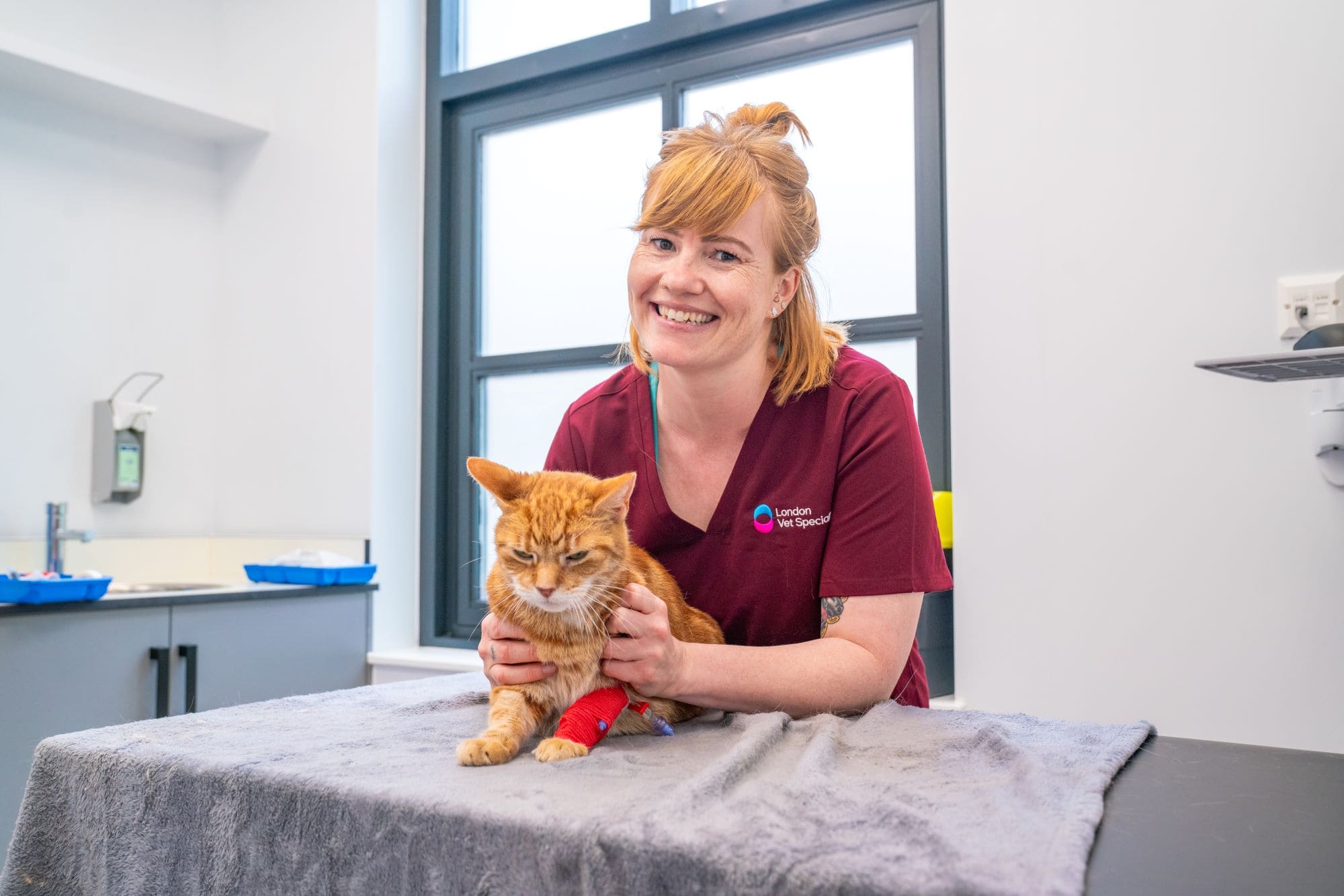 Veterinary specialist with ginger cat at new animal hospital
