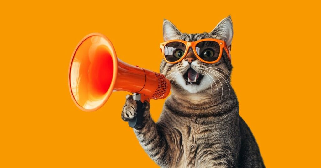 Tabby cat wearing orange sunglasses meowing into an orange megaphone