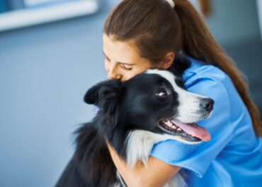 CMA review: Why your vet practice’s new PR era is just beginning