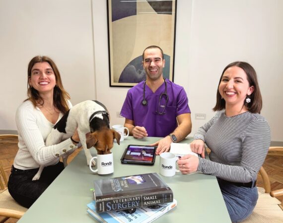Ronda veterinary team pictured sat round a table. A small terrier has its nose in a mug that is on the table.