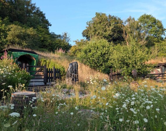 Coed Y Ddraig: Hobbit House